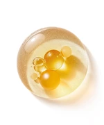 Peptides Anti-wrinkle Firming Oil Serum
